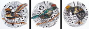 3_NATIVE_BIRDS_STEAMPUNK.jpg