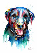 A3_Colourful_pet_portrait.jpg
