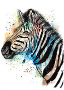African_Stripes.jpg