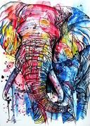BOLD_ELEPHANT.jpg