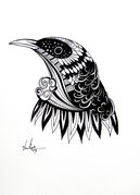 BOLD_TUI.jpg