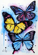 BUTTERFLIES~0.jpg