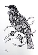 B_W_PROUD_TUI.jpg