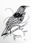 B_W_TUI_ILLUSTRATION.jpg