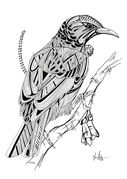 B_W_Tui_design.jpg