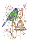 Blossom_Bellbird.jpg