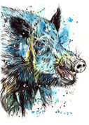 Boar.jpg