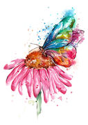 Butterfly.jpg