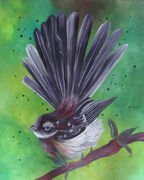 CANVAS_FANTAIL.jpg