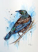 CREATIVE_TUI_BIRD.jpg
