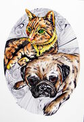 CUSTOM_PET_2_-_CAT_AND_DOG.jpg