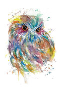 Colourful_Morepork.jpg