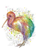 Colourful_Sketchy_Kiwi.jpg
