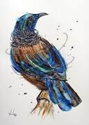ELEGANT_TUI.jpg