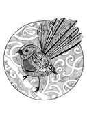 Fantail_black_and_white.jpg