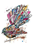 Fantail_illustration.jpg