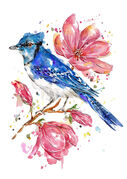 Floral_Blue_Jay.jpg