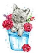 Floral_Kitten.jpg