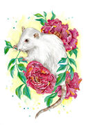 Floral_Rat.jpg
