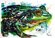 GROWLING_TREE_FROG.jpg