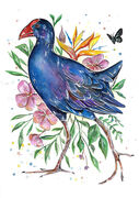 Garden_Pukeko.jpg