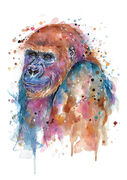 Gorilla.jpg
