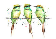 Green_Bee_Eaters.jpg