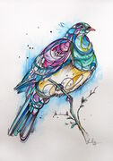 INKED_NZ_PIGEON.jpg