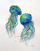 JELLYFISH.jpg