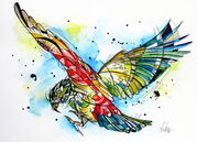 KEA_IN_FLIGHT.jpg