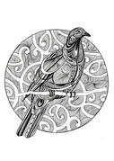 Kereru_black_and_white.jpg