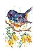 Kowhai_TomTit.jpg