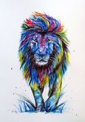 LION~0.jpg