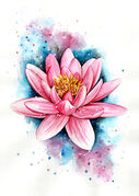 Lotus_Flower.jpg