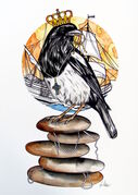 MAGPIE_KING.jpg