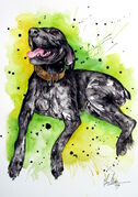 MEG_DOG_PORTRAIT.jpg