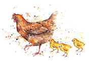 Mother_and_Chicks.jpg