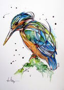 NEW_ZEALAND_KINGFISHER.jpg