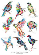 New_Zealand_birds.jpg
