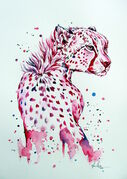 PINK_CHEETAH.jpg