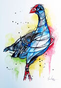 PROUD_PUKEKO.jpg