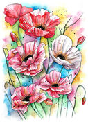 Poppies.jpg