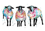 Rainbow_Wool.jpg