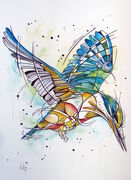 SACRED_KINGFISHER.jpg
