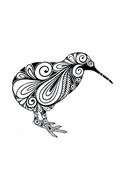 SCANNED_KIWI.jpg