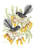 SMALL_Spring_Kowahi_Fantail.jpg