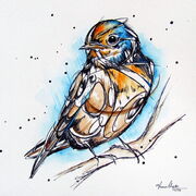 SWALLOW_1.jpg