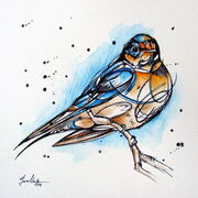 SWALLOW_2.jpg