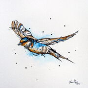 SWALLOW_3.jpg