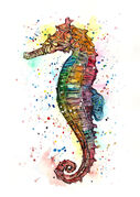 Seahorse.jpg